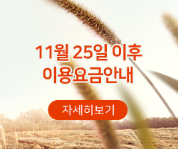 11월이용요금