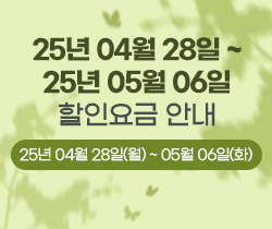 할인요금