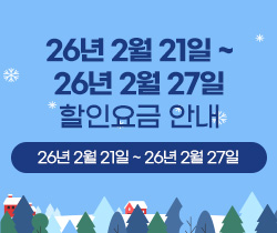 할인요금