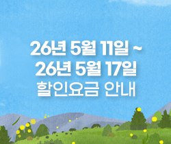 할인요금