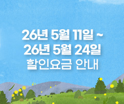 할인요금