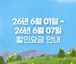 할인요금