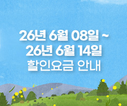 할인요금