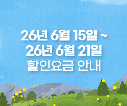 할인요금