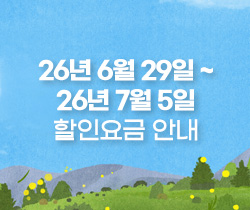 할인요금