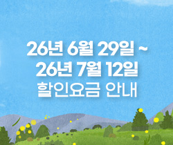 할인요금