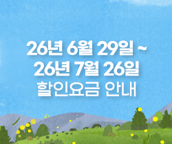 할인요금