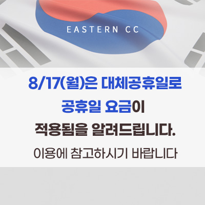 대체공휴일