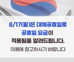 대체공휴일