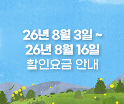 할인요금