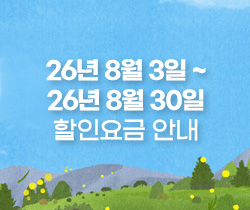 할인요금