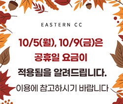 대체공휴일