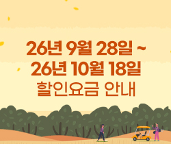 할인요금
