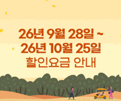 할인요금
